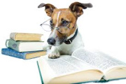 Una oportunidad para avanzar hacia una convivencia responsable