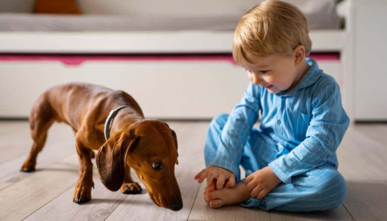 La ciencia investiga los beneficios de convivir con perros para la salud respiratoria en la infancia
