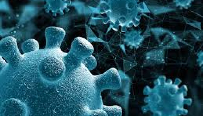 Científicos de EEUU alertan sobre la circulación de gripe D en vacas y coronavirus canino