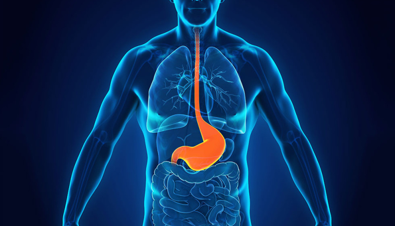 De acidez a molestias: cuáles son los factores que alteran la barrera natural del estómago