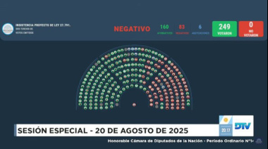 La oposición logró rechazar el veto de Milei a la ley de emergencia en discapacidad en Diputados