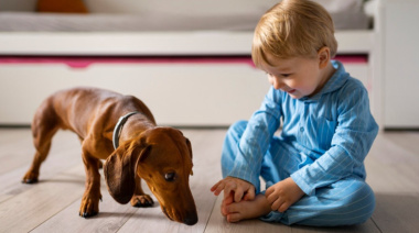 La ciencia investiga los beneficios de convivir con perros para la salud respiratoria en la infancia