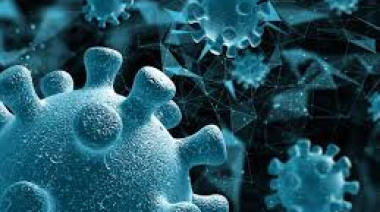 Científicos de EEUU alertan sobre la circulación de gripe D en vacas y coronavirus canino