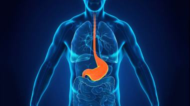 De acidez a molestias: cuáles son los factores que alteran la barrera natural del estómago