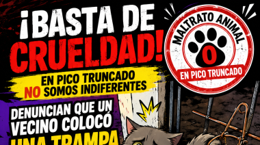 INDIGNACIÓN EN PICO TRUNCADO: DENUNCIAN UNA TRAMPA QUE TERMINÓ ATRAPANDO A UN GATO