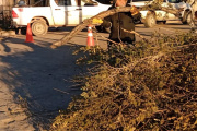 Inicio de tareas de poda en Pico Truncado: una iniciativa clave para el bienestar urbano