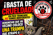 INDIGNACIÓN EN PICO TRUNCADO: DENUNCIAN UNA TRAMPA QUE TERMINÓ ATRAPANDO A UN GATO