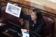 Gadano cuestionó la reforma: “Para nosotros la calefacción no es un lujo”