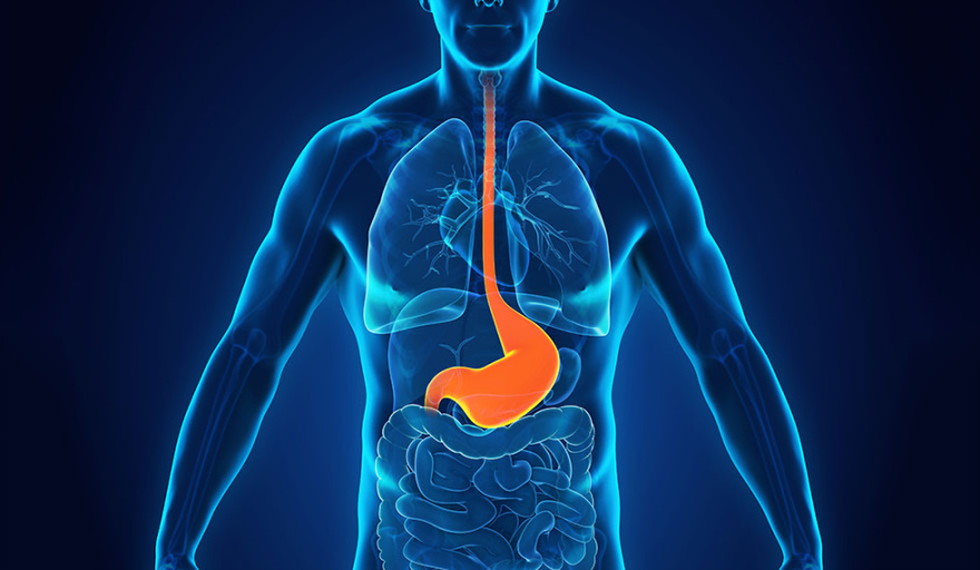 De acidez a molestias: cuáles son los factores que alteran la barrera natural del estómago